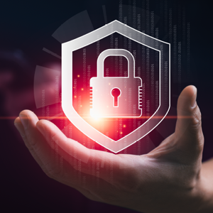 Secure Custom Debian-Based OS for Enhanced system Protection